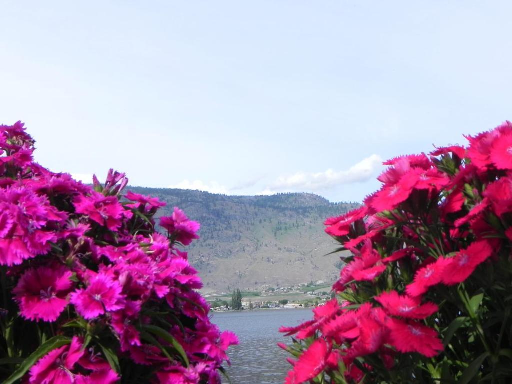 Destiny Beach Resort Osoyoos Exterior photo